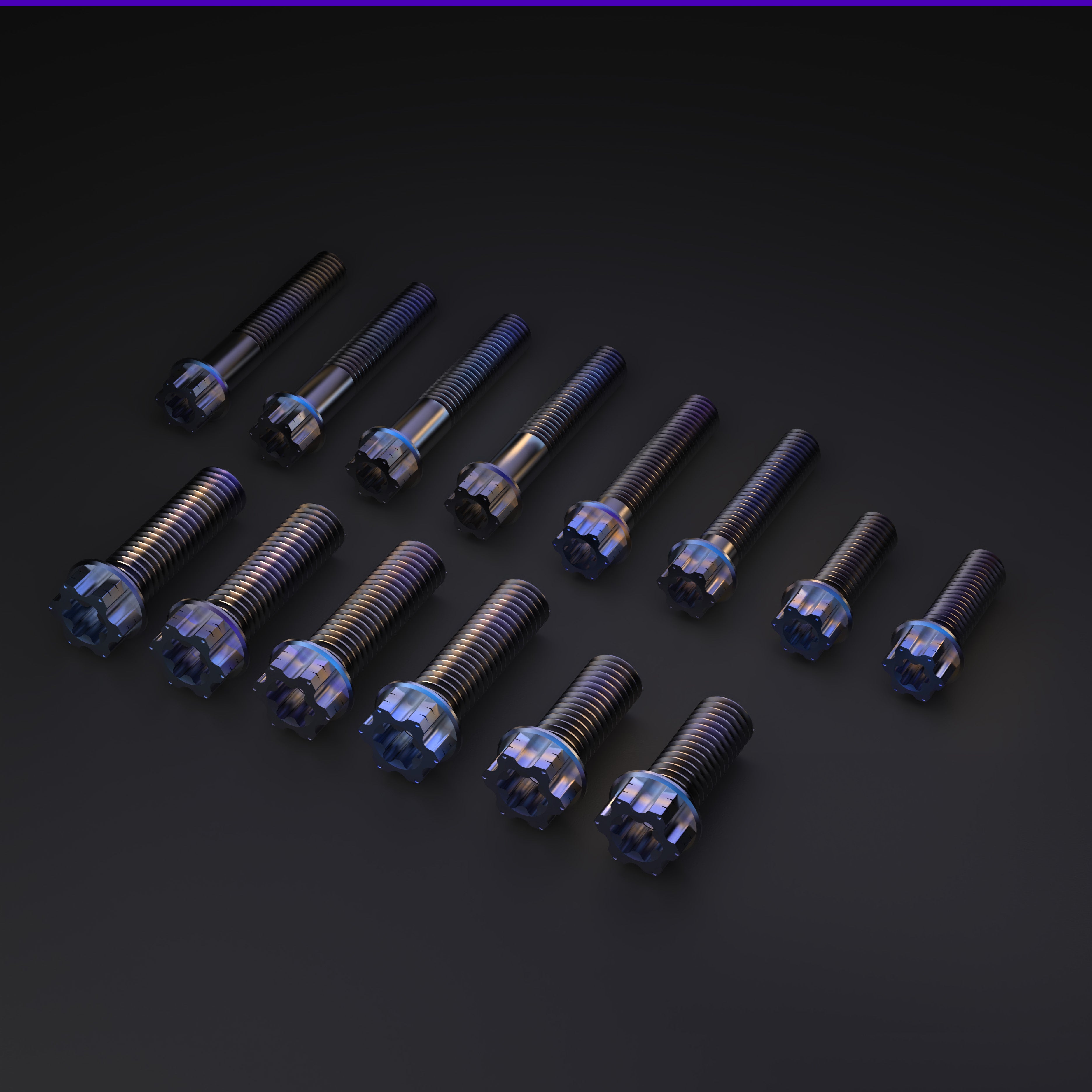 Titanium Bolts for Sur-Ron LBX Rack Kit