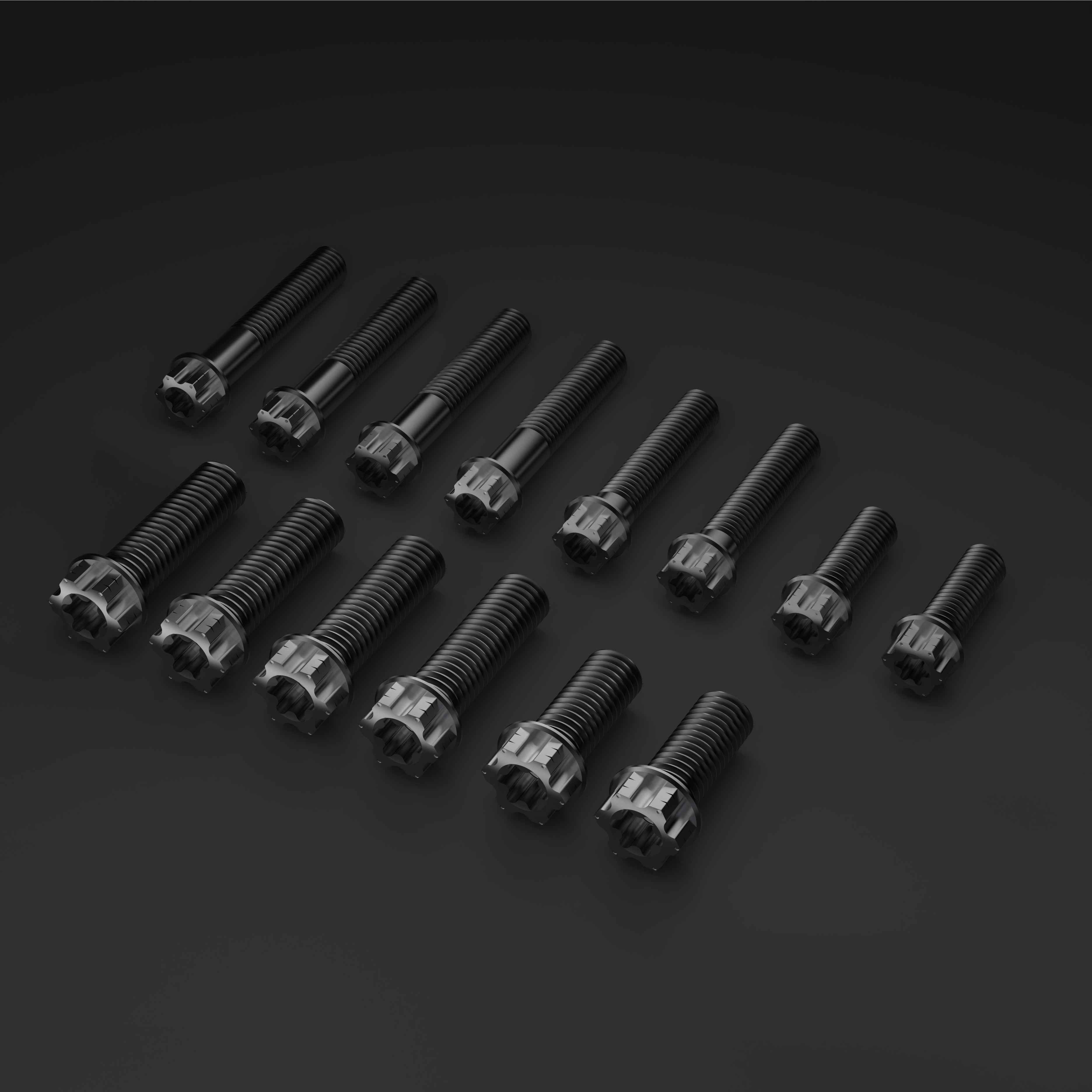 Titanium Bolts for Sur-Ron LBX Rack Kit