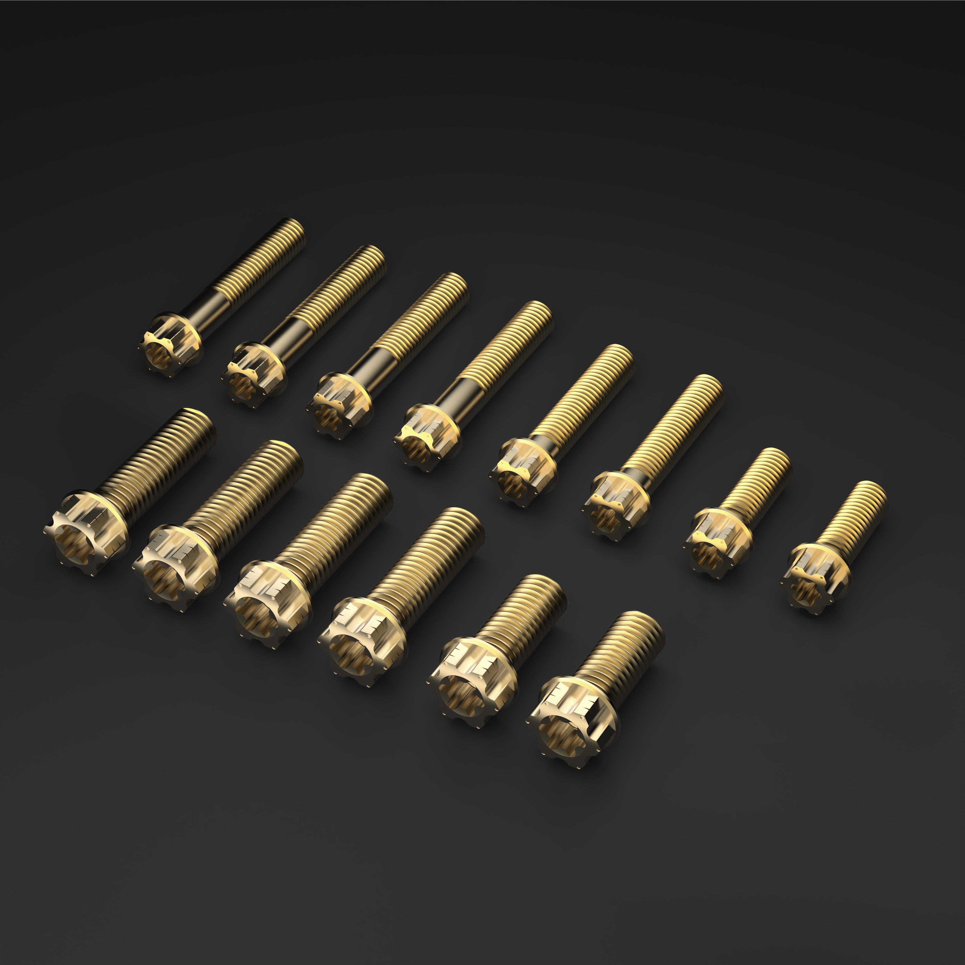 Titanium Bolts for Sur-Ron LBX Rack Kit