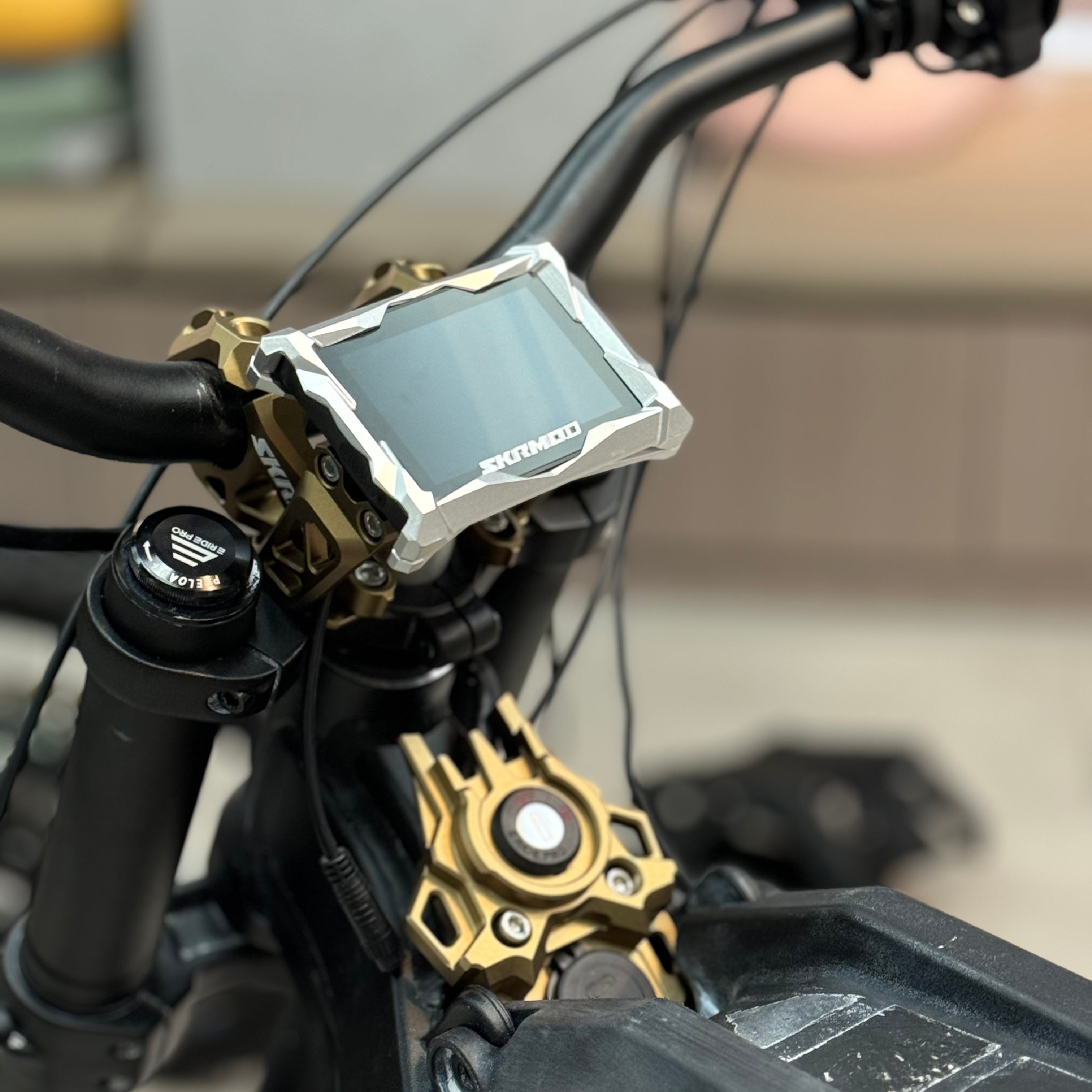 E Ride Pro Screen Display Protector