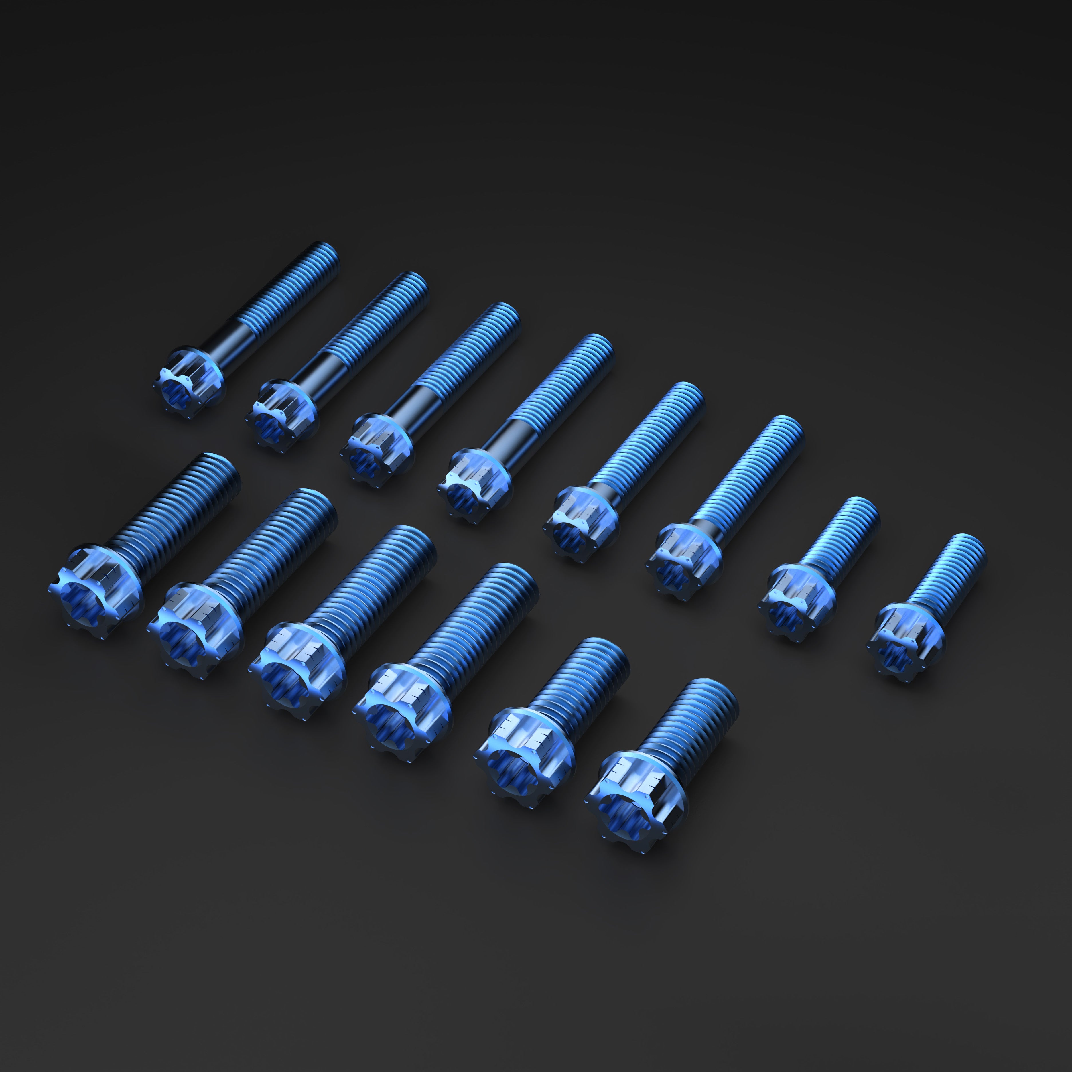 Titanium Bolts for Sur-Ron LBX Rack Kit