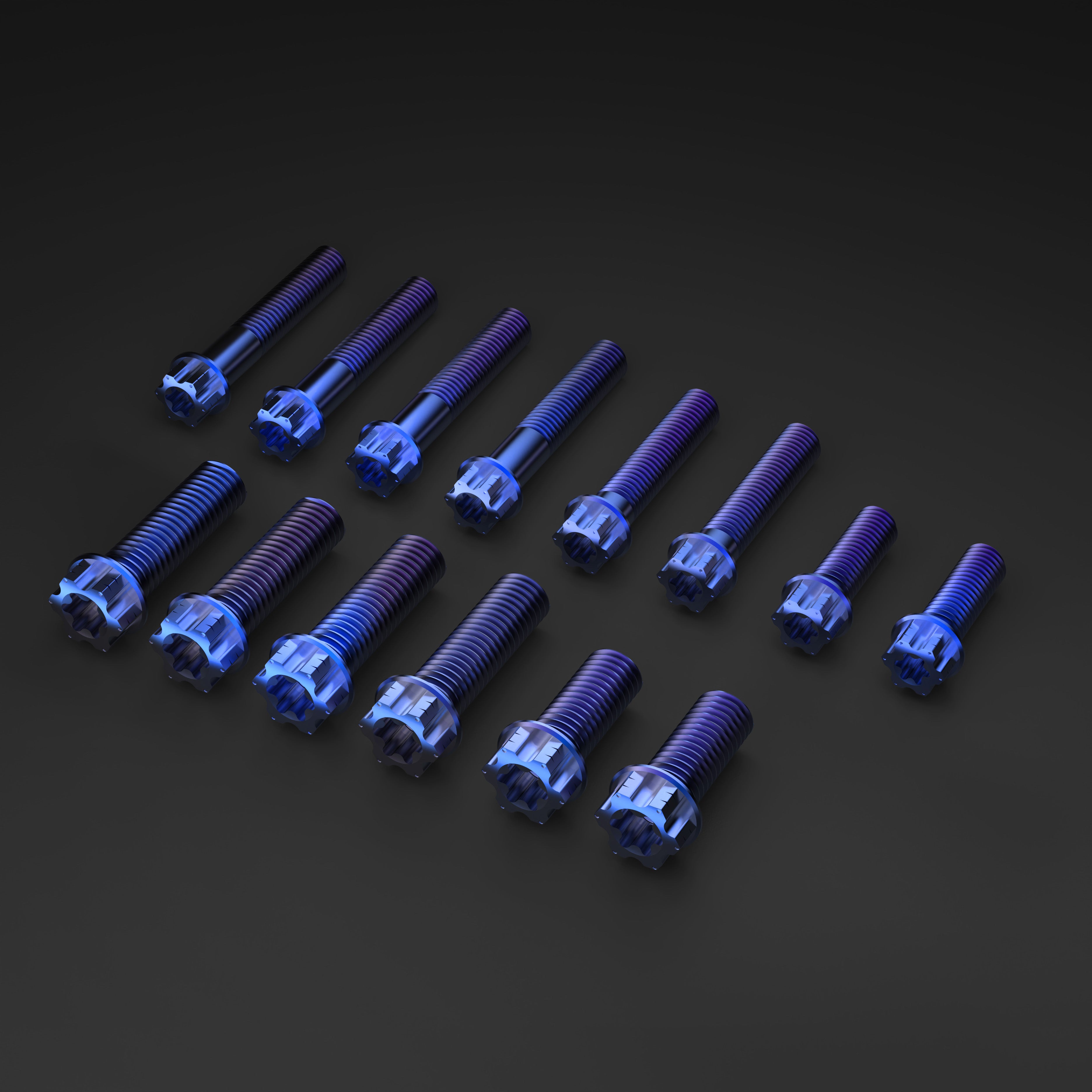 Titanium Bolts for Sur-Ron LBX Rack Kit