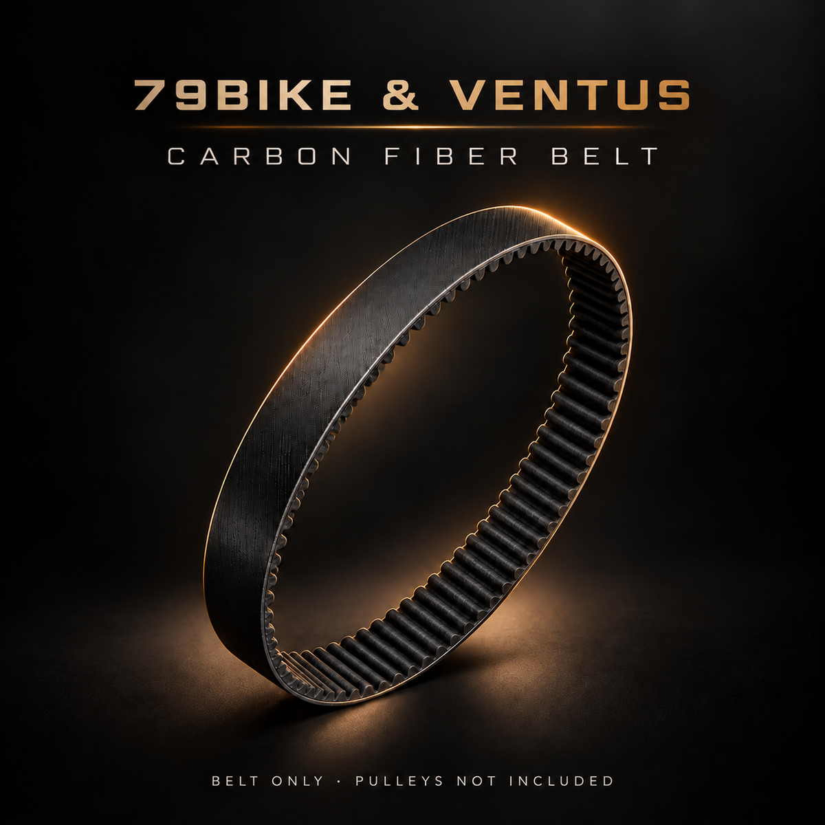 79BIKE & Ventus carbon fiber belt only — pulleys not included
