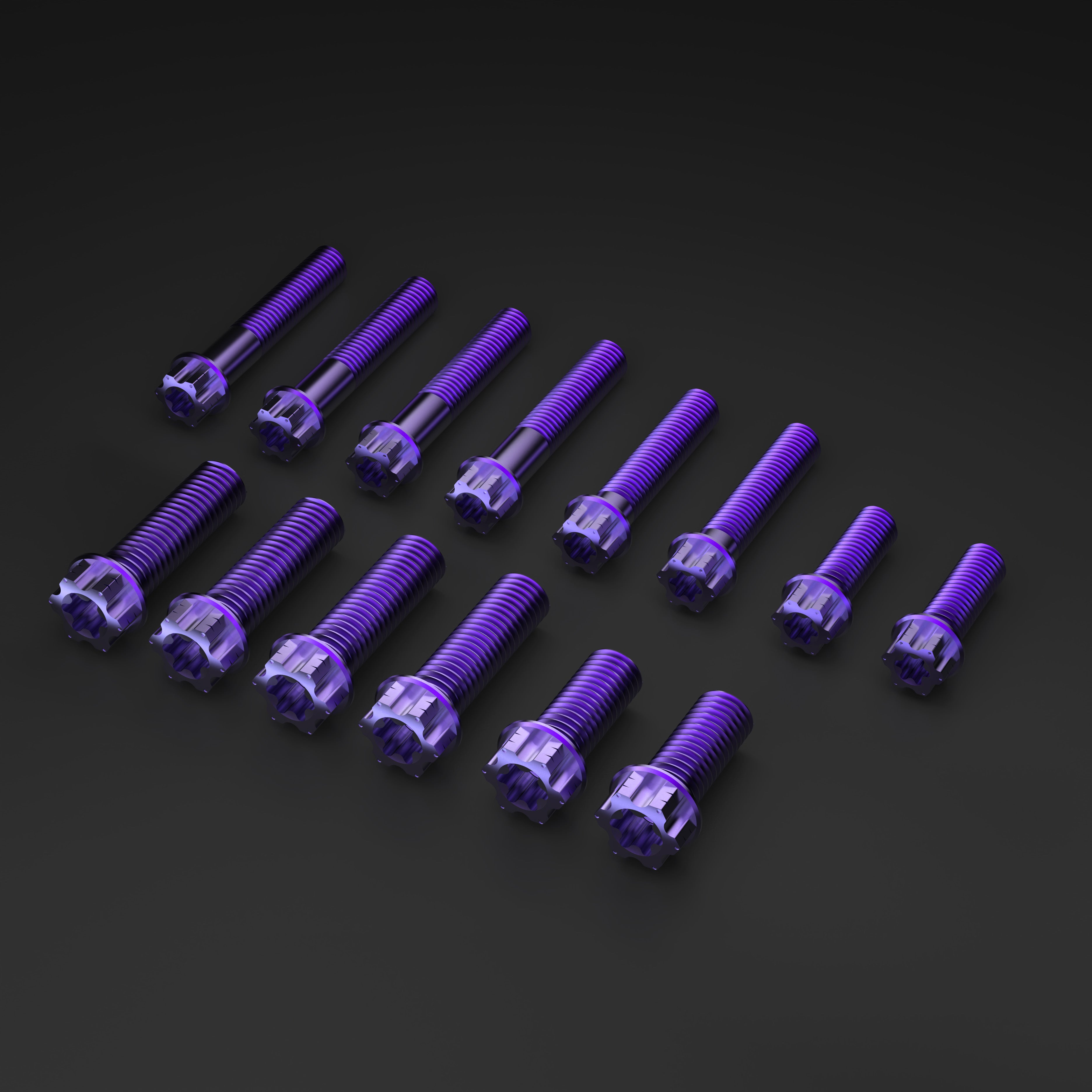 Titanium Bolts for Sur-Ron LBX Rack Kit