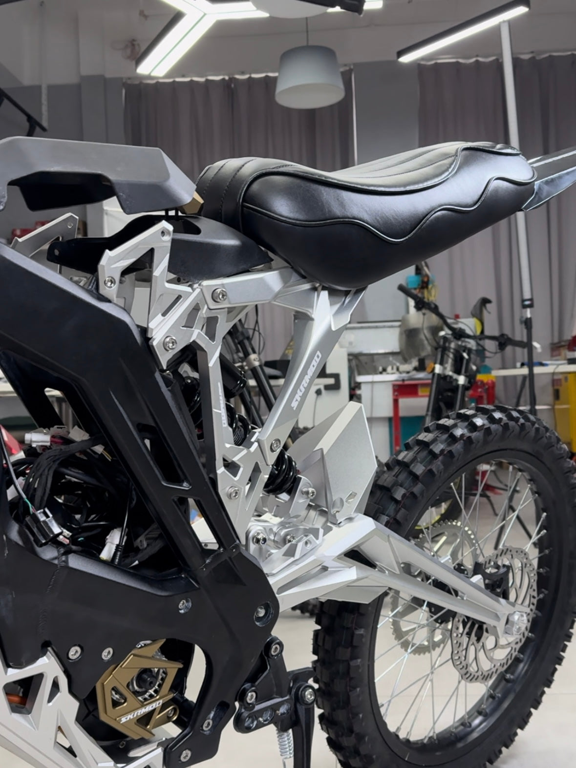 E Ride Pro Subframe with titanium bars
