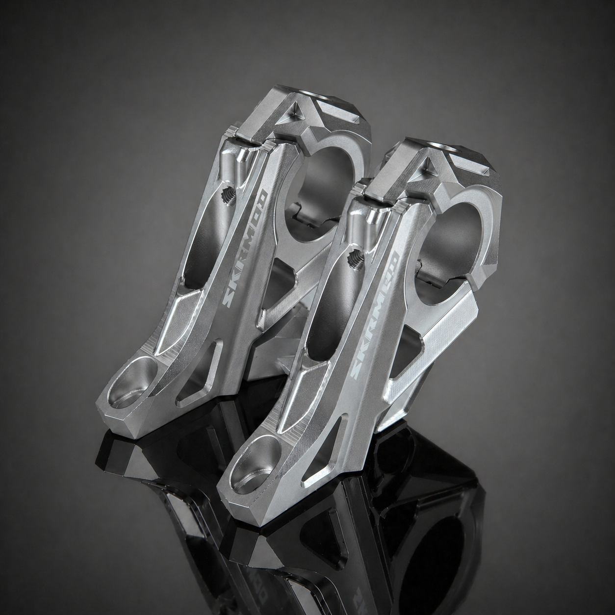 79Bike/Ventus T-REX Direct Stem Bar Mount